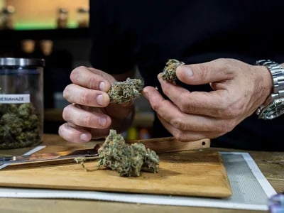 Barcelona Coffeeshops: Alles, was du wissen musst