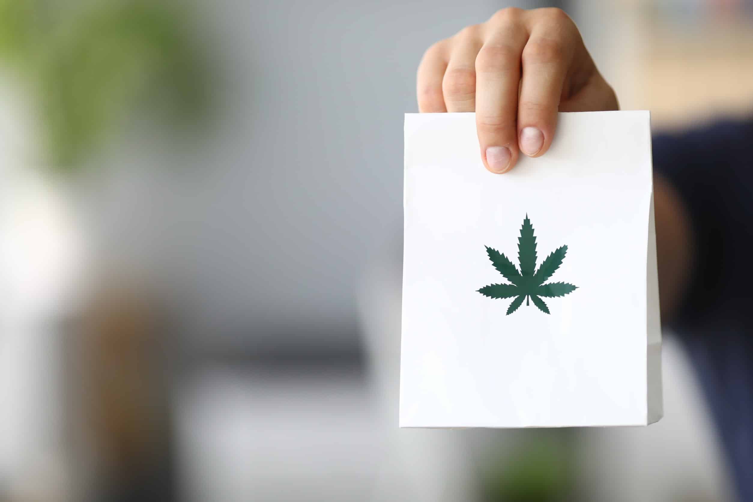 Garantiert hochwertige Ernten – Weed Samen kaufen für optimale Ergebnisse