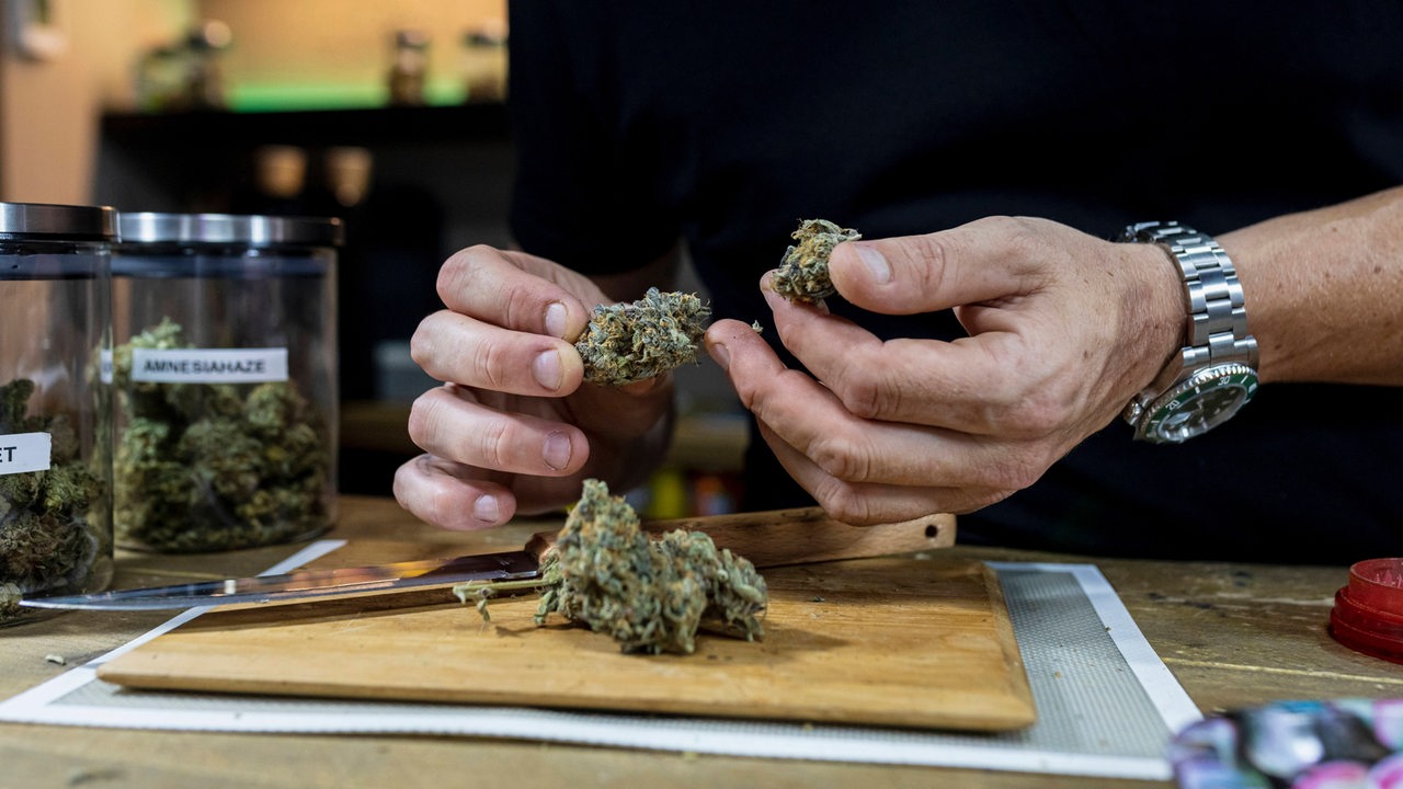 Barcelona Coffeeshops: Alles, was du wissen musst