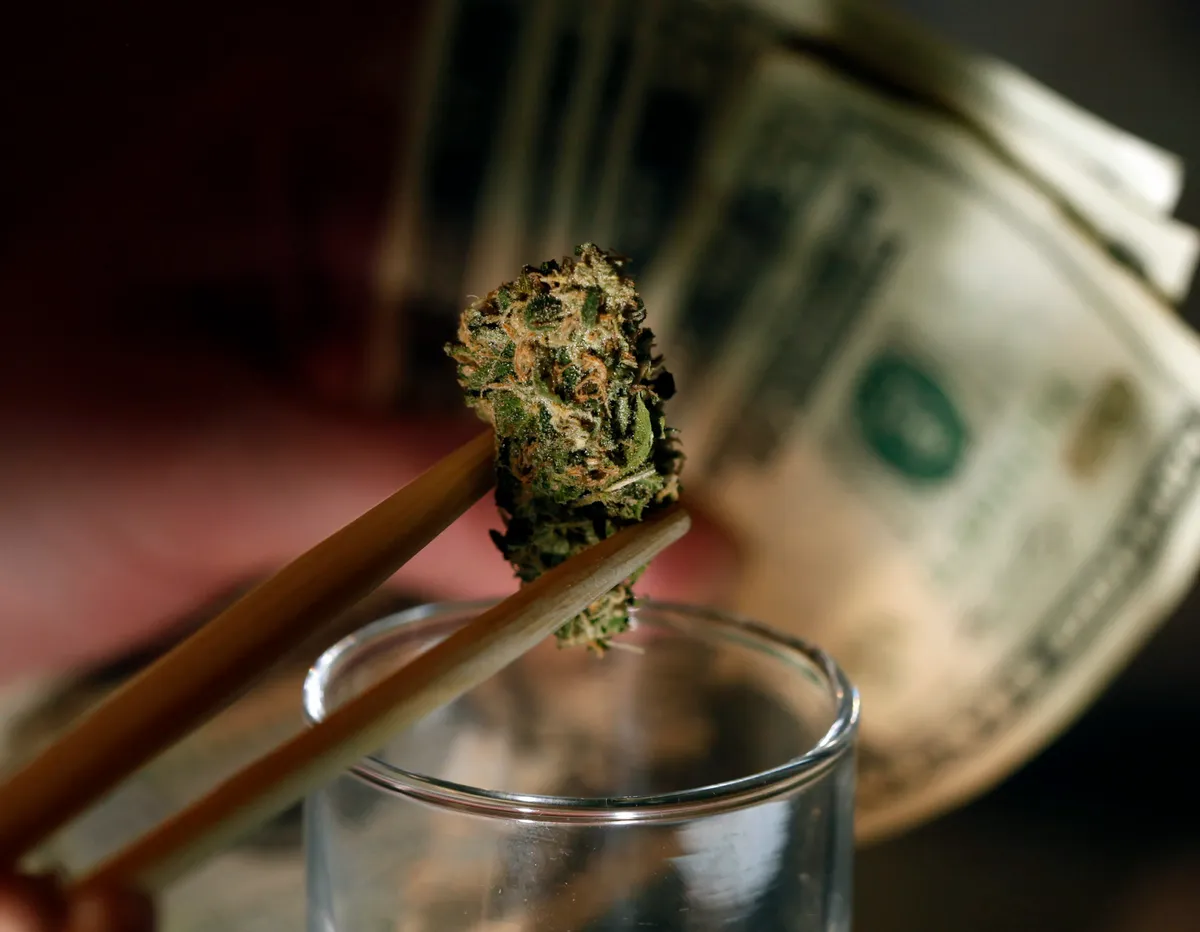 Garantiert hochwertige Ernten – Weed Samen kaufen für optimale Ergebnisse